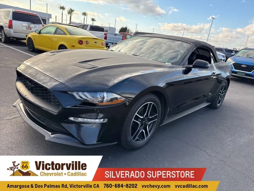 2021 Ford Mustang EcoBoost Premium photo 1