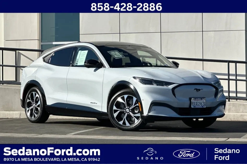 2021 Ford Mustang Mach-E Premium photo 1