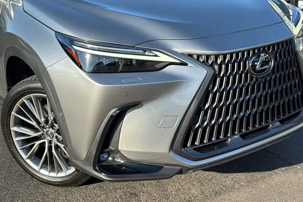 2024 Lexus NX 350h Luxury photo 1