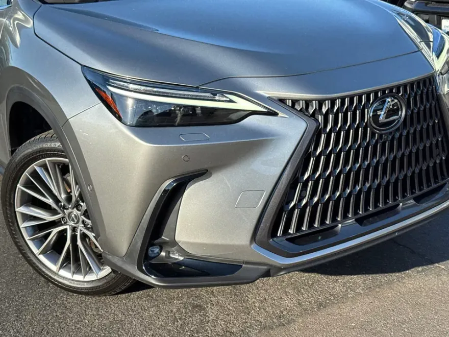 2024 Lexus NX 350h Luxury photo 1