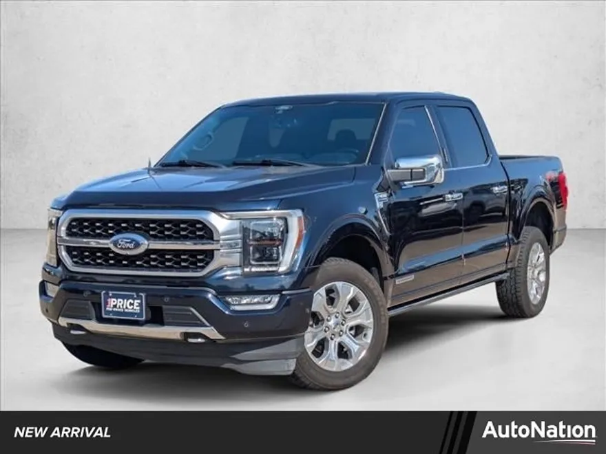 2021 Ford F-150 Platinum photo 1