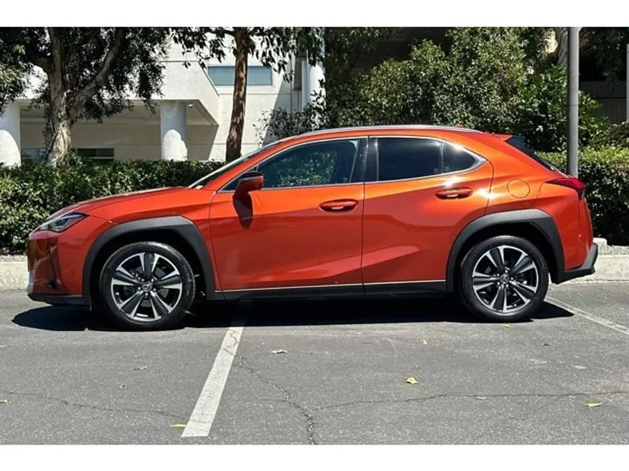 2019 Lexus UX 200 photo 1