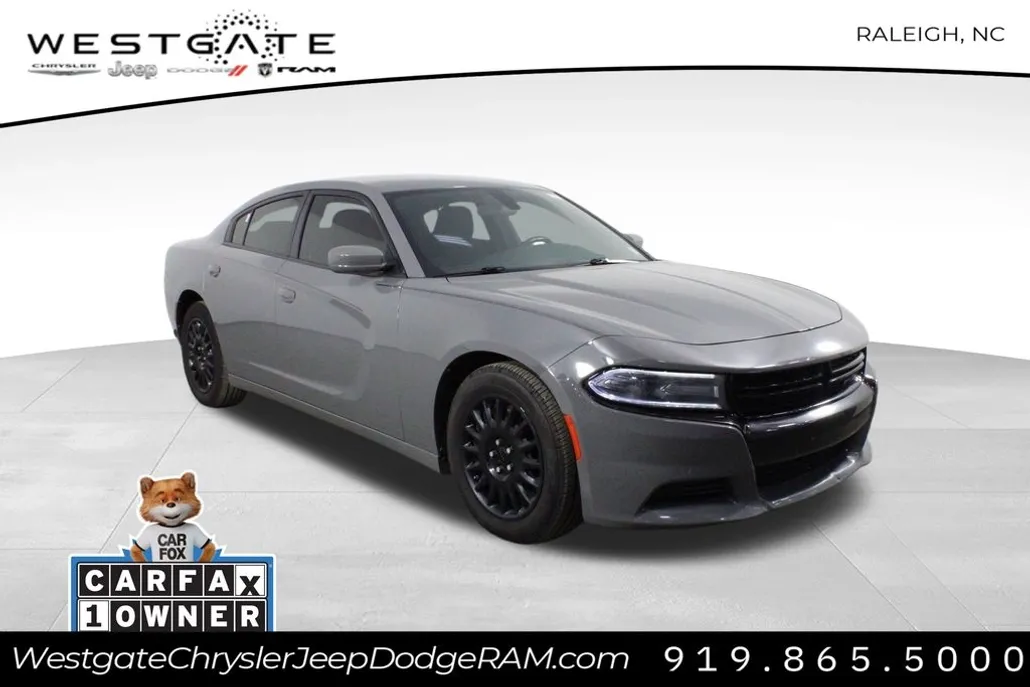 2019 Dodge Charger photo 1