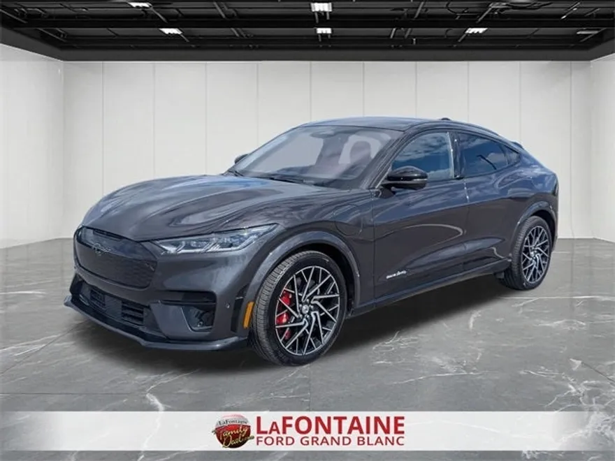 2022 Ford Mustang Mach-E GT photo 1