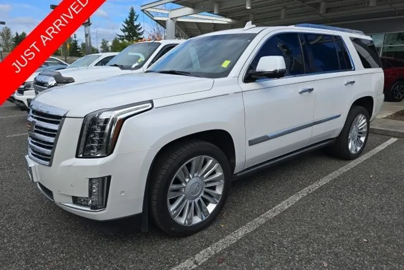2018 Cadillac Escalade Platinum photo 1