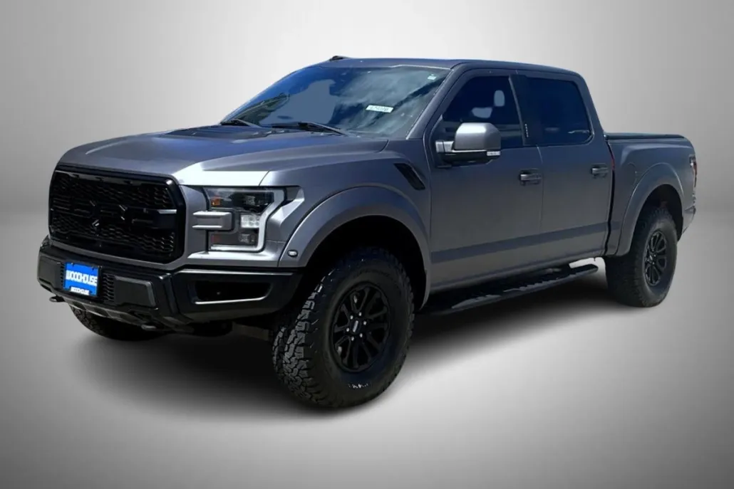 2019 Ford F-150 Raptor photo 1