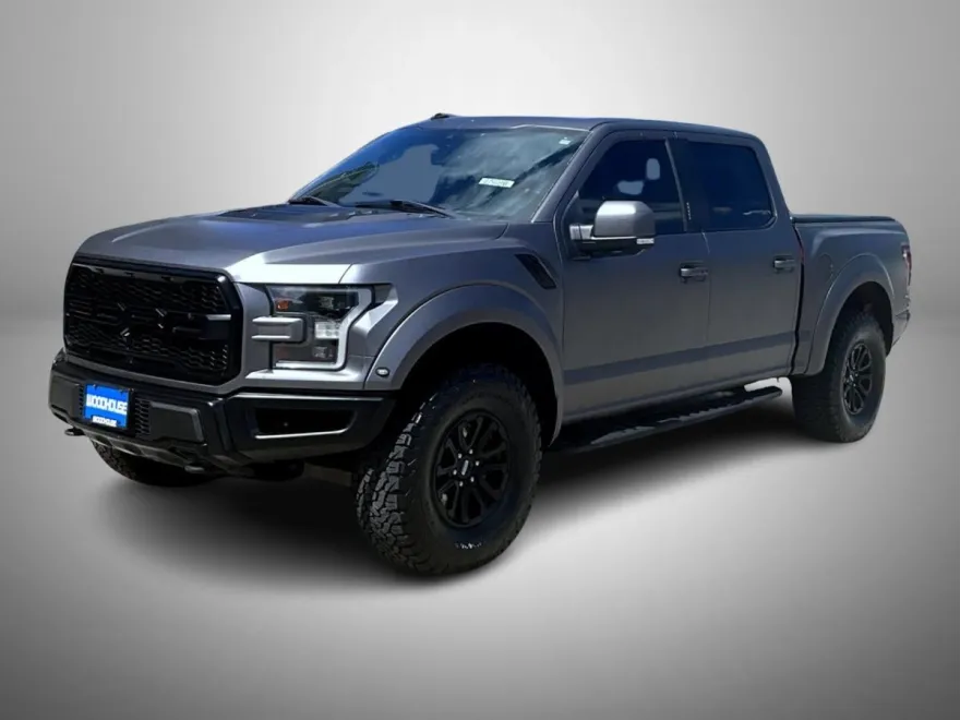 2019 Ford F-150 Raptor photo 1