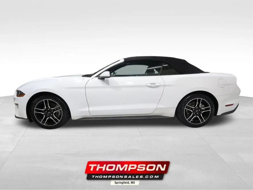 2023 Ford Mustang EcoBoost Premium photo 1