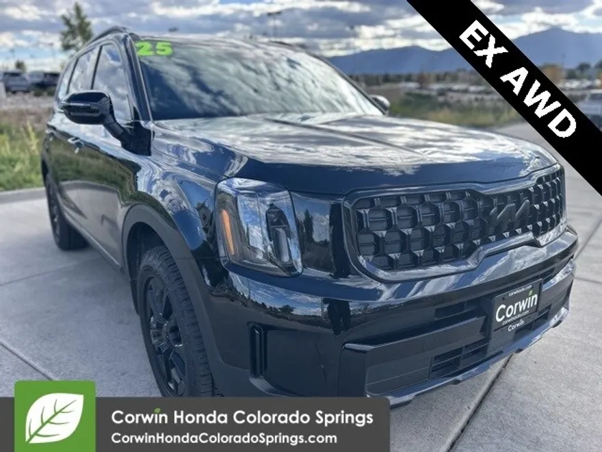 2025 Kia Telluride EX photo 1