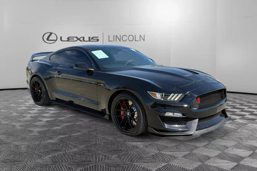 2019 Ford Mustang Shelby GT350R photo 1