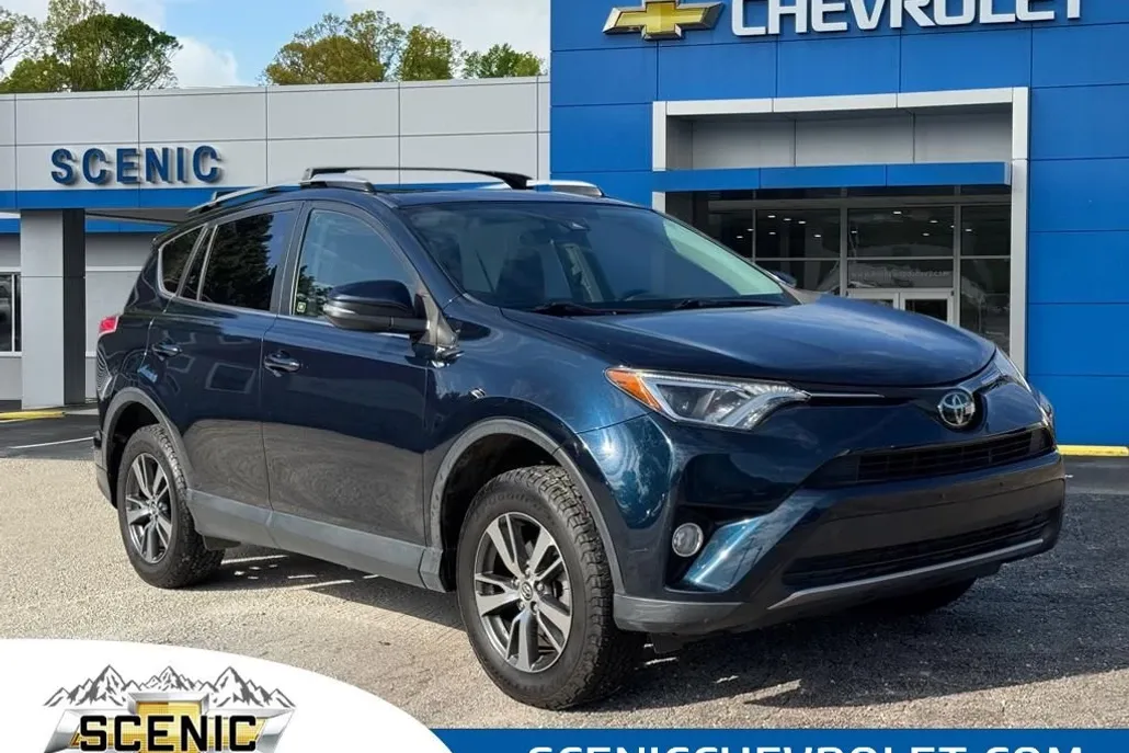 2018 Toyota RAV4 XLE photo 1