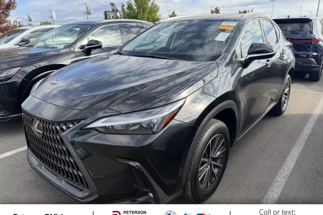 2024 Lexus NX 350h photo 1