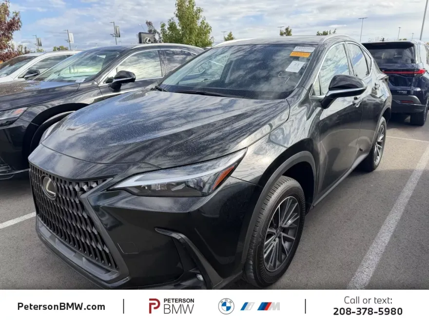 2024 Lexus NX 350h photo 1