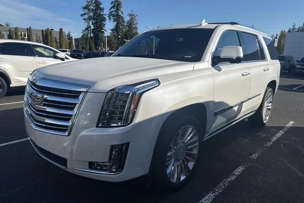 2016 Cadillac Escalade Platinum photo 1