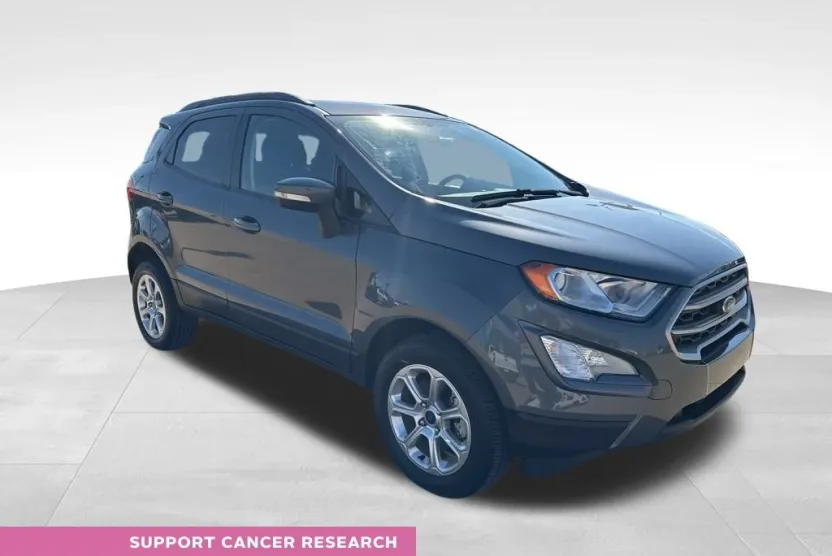 2019 Ford EcoSport SE photo 1