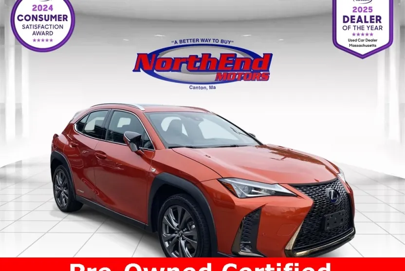 2019 Lexus UX 250h photo 1