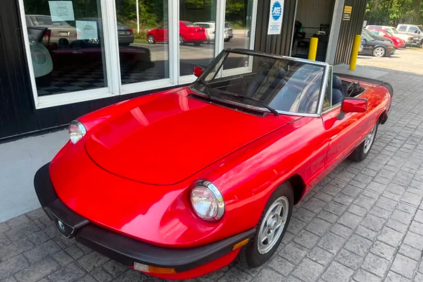 1983 Alfa Romeo Spider VELOCE photo 1