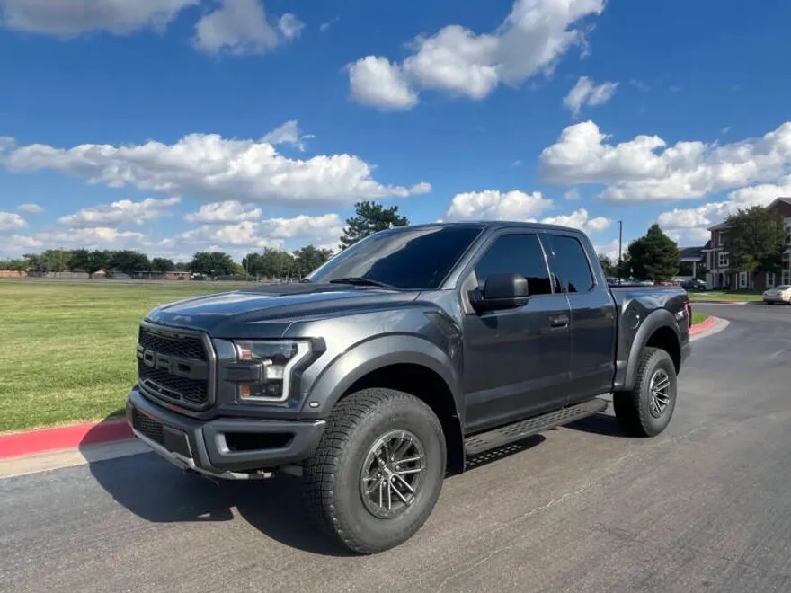 2019 Ford F-150 Raptor photo 1