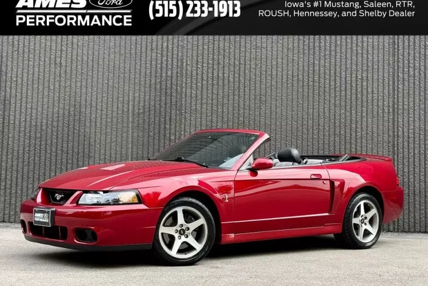 2003 Ford Mustang Cobra photo 1