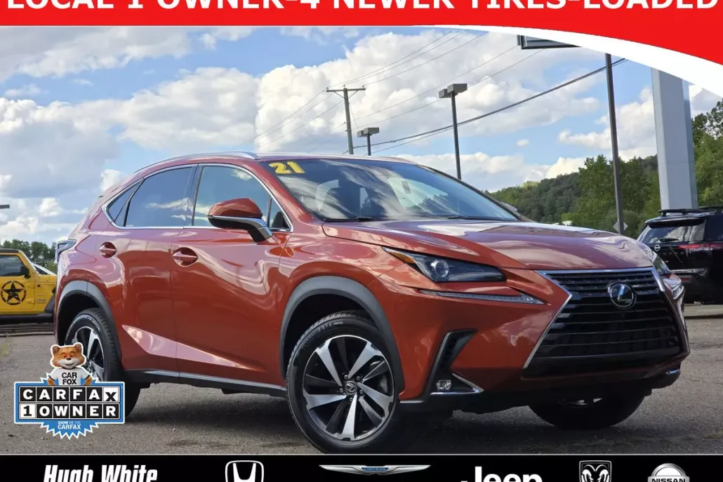 2021 Lexus NX 300 AWD photo 1