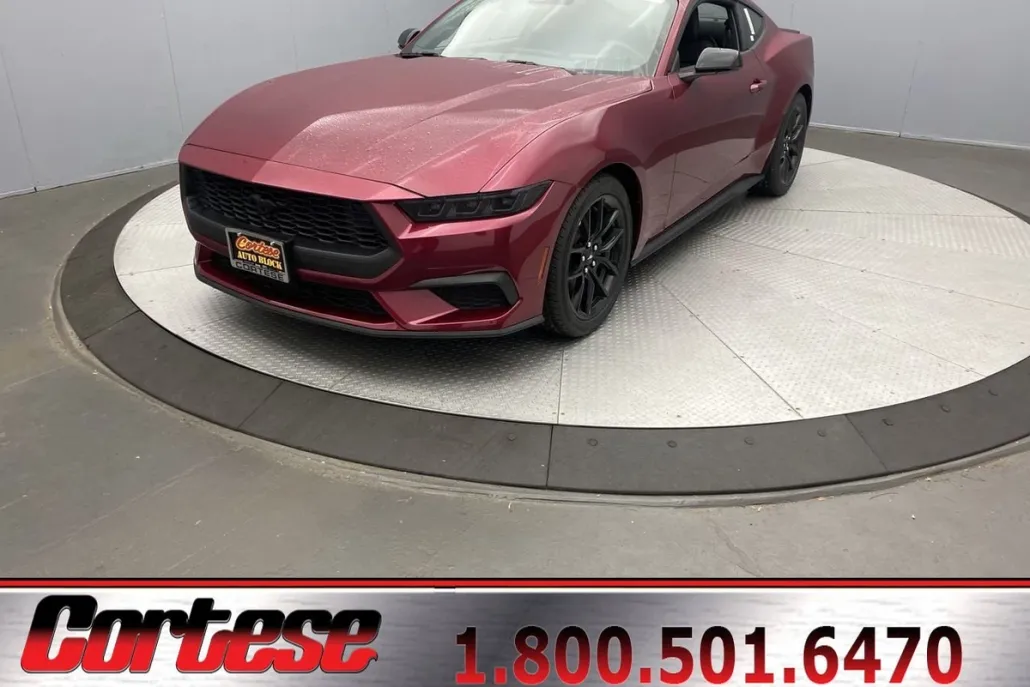 2025 Ford Mustang EcoBoost Premium photo 1