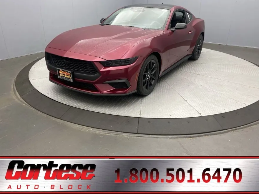 2025 Ford Mustang EcoBoost Premium photo 1