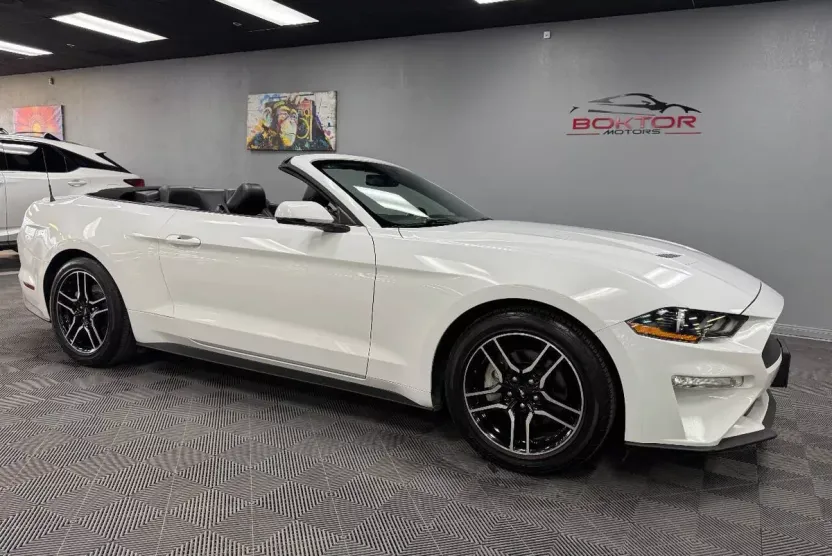 2019 Ford Mustang EcoBoost Premium Convertible photo 1