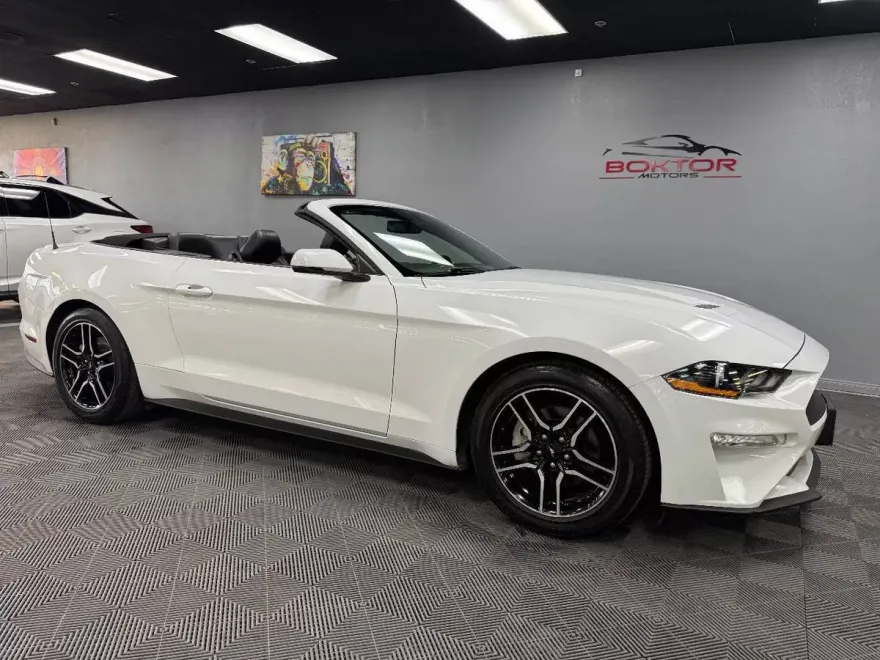 2019 Ford Mustang EcoBoost Premium Convertible photo 1
