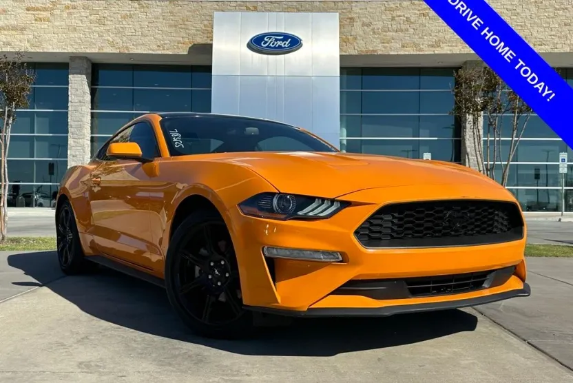 2019 Ford Mustang EcoBoost photo 1