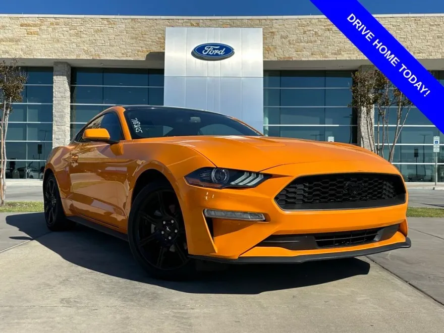 2019 Ford Mustang EcoBoost photo 1