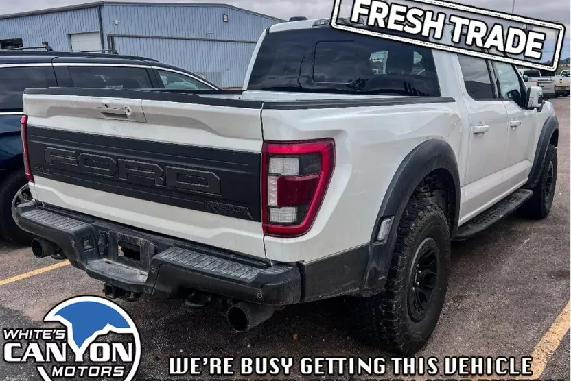 2023 Ford F-150 Raptor photo 1
