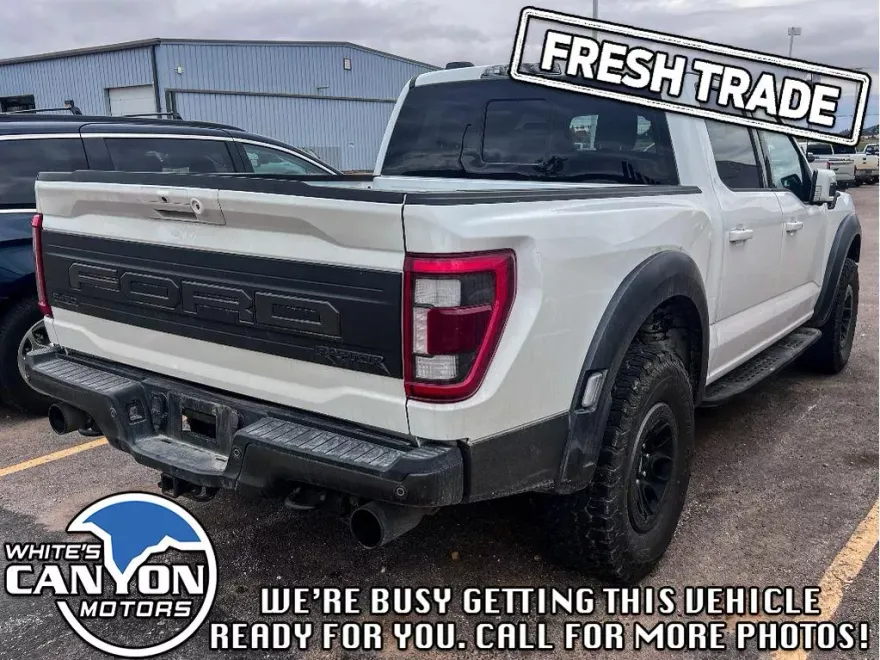 2023 Ford F-150 Raptor photo 1