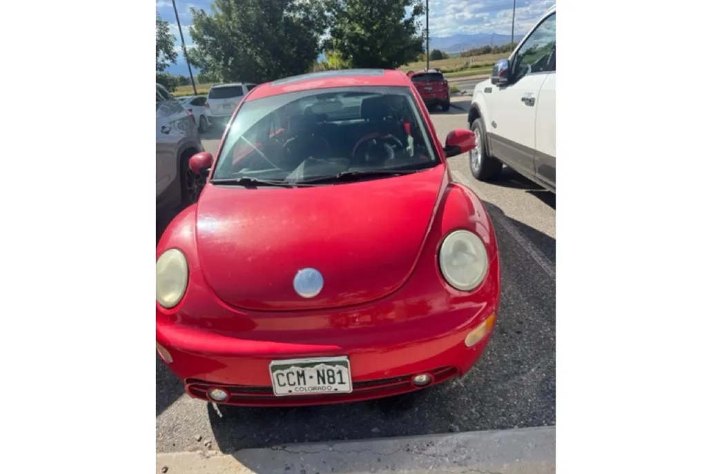 2004 Volkswagen Beetle GLS photo 1