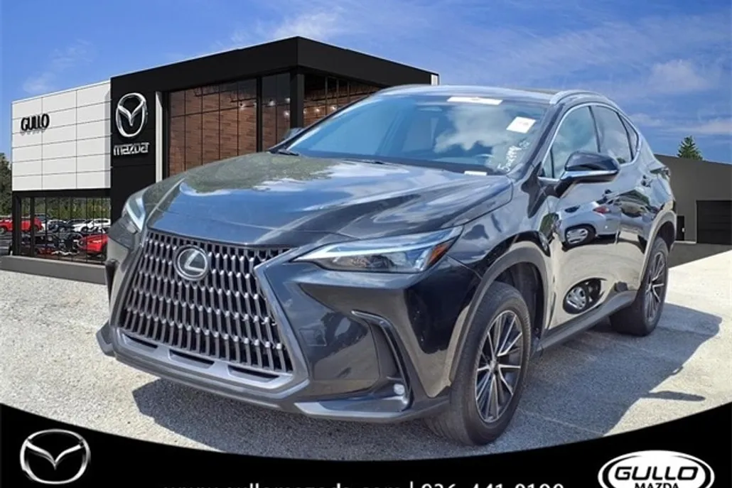 2024 Lexus NX 250 photo 1