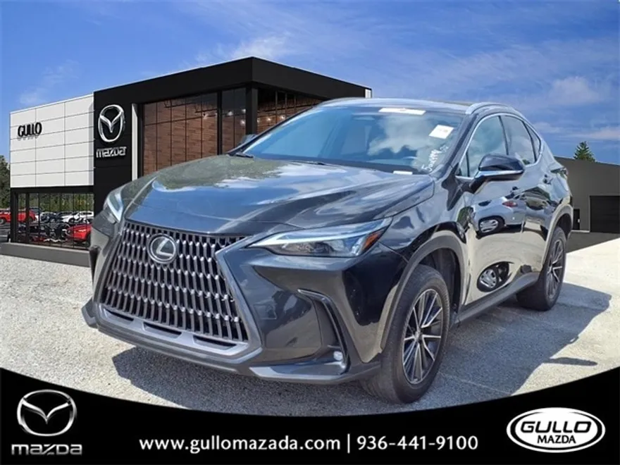 2024 Lexus NX 250 photo 1