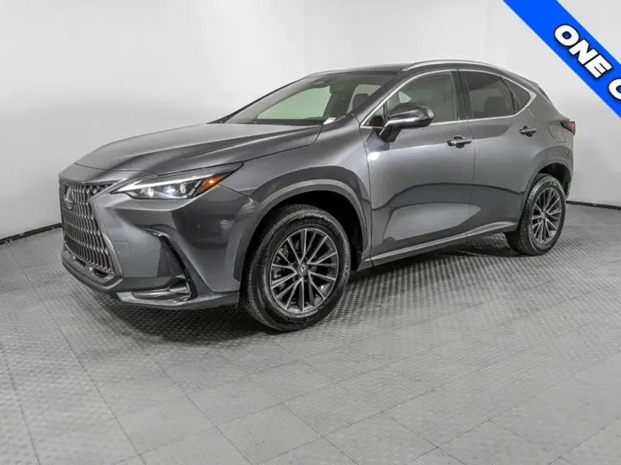 2024 Lexus NX 250 photo 1