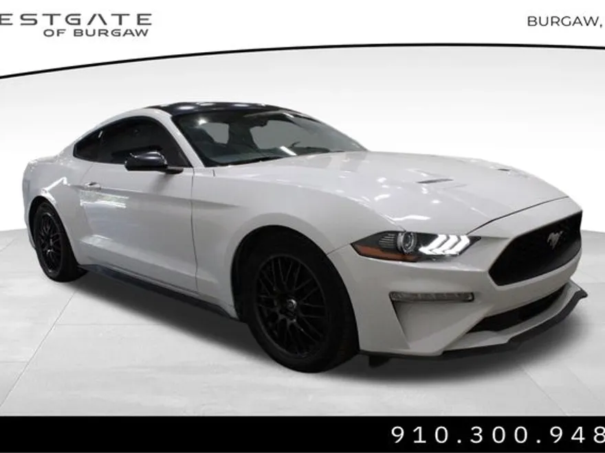 2020 Ford Mustang EcoBoost photo 1