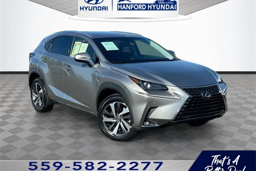 2019 Lexus NX 300 Luxury photo 1