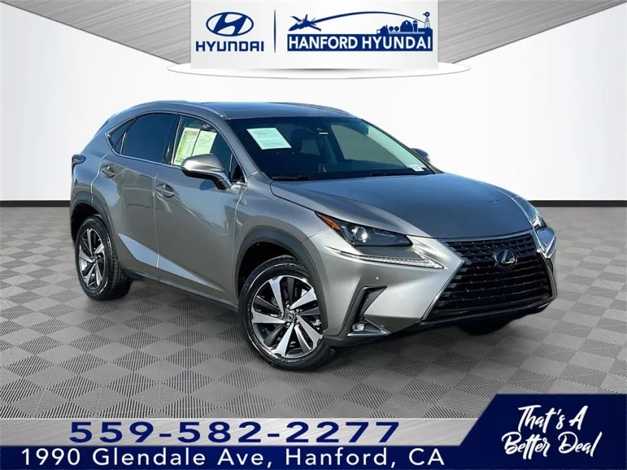 2019 Lexus NX 300 Luxury photo 1