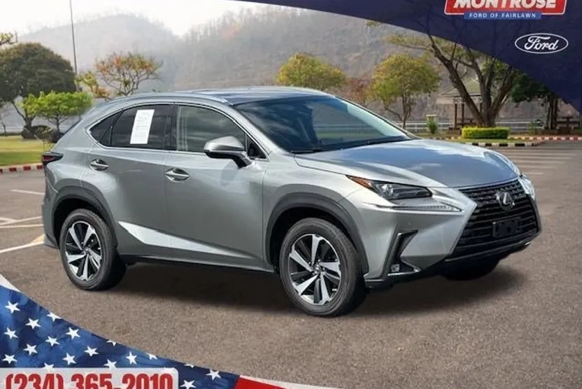 2019 Lexus NX 300 Luxury photo 1