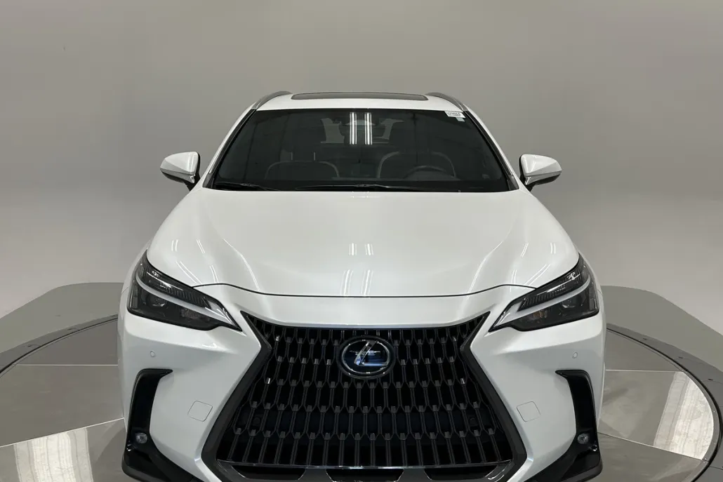 2022 Lexus NX 350 Premium photo 1