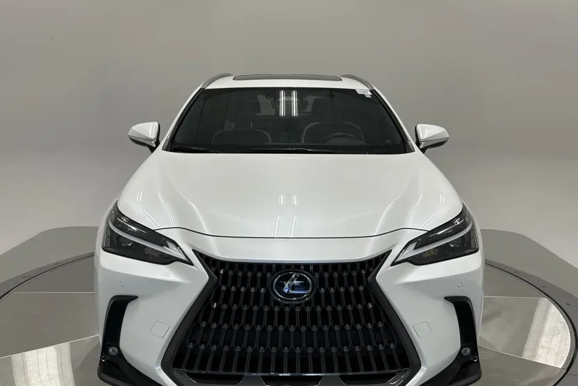 2022 Lexus NX 350 Premium photo 1