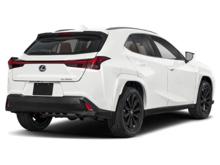 2025 Lexus UX Premium photo 1