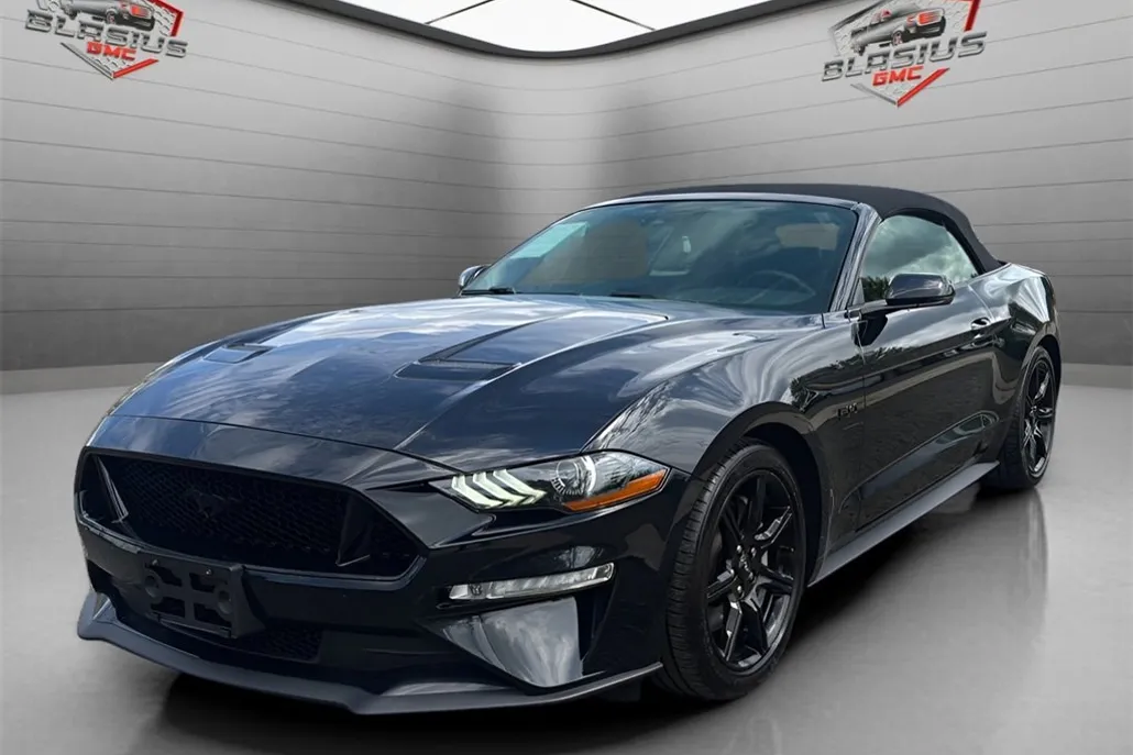 2019 Ford Mustang GT Premium photo 1