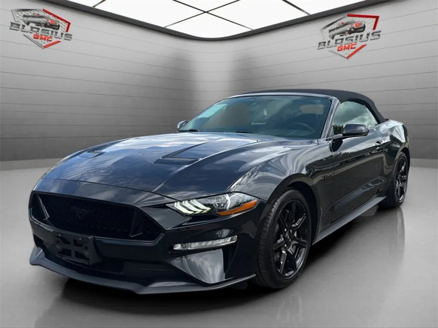 2019 Ford Mustang GT Premium photo 1