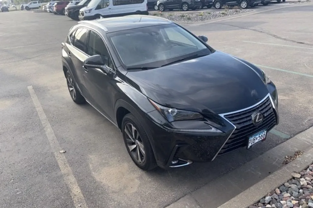 2018 Lexus NX 300 Luxury photo 1