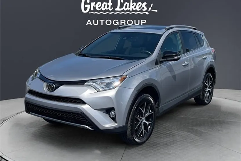 2017 Toyota RAV4 SE photo 1