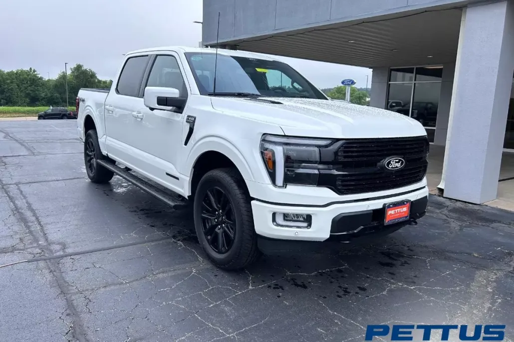 2025 Ford F-150 Platinum photo 1