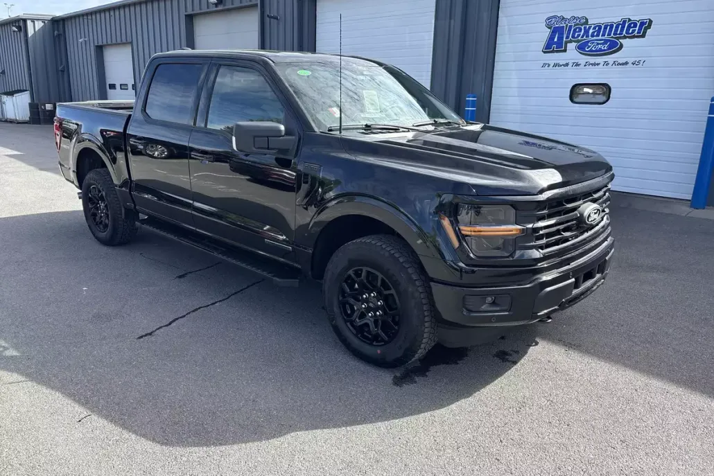 2025 Ford F-150 XLT photo 1