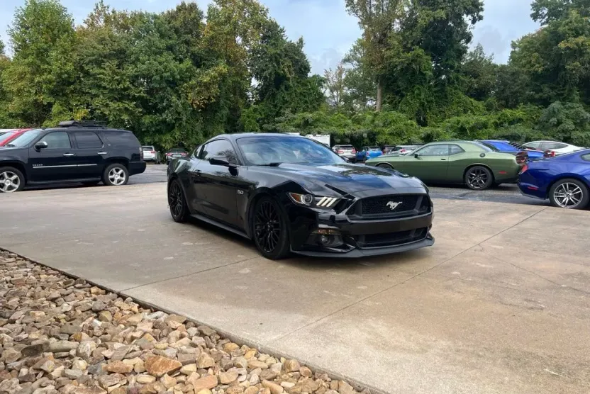 2015 Ford Mustang GT photo 1